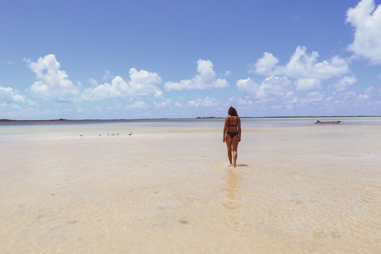 Sandbar- Things to Do in Harbour Island, Bahamas